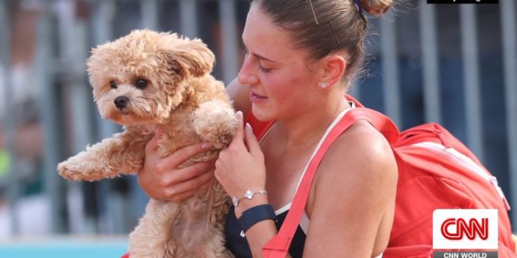 Dogs on Tour: Professional tennis players bring their pups on the road