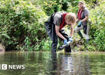 Pollution monitoring first for River Test chalk stream