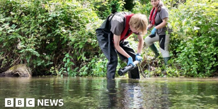 Pollution monitoring first for River Test chalk stream
