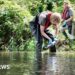 Pollution monitoring first for River Test chalk stream