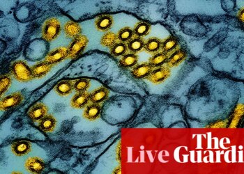 Australia news live: arrival of H5N1 bird flu a ‘genuine wildlife emergency’, experts say; fuel excise rebate extended at reduced rate | Australia news