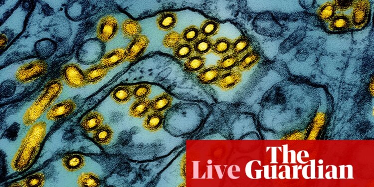 Australia news live: arrival of H5N1 bird flu a ‘genuine wildlife emergency’, experts say; fuel excise rebate extended at reduced rate | Australia news