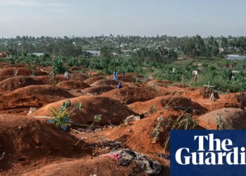 ‘The next pandemic will not wait’: Lula and WHO director in urgent plea for leaders to finalise agreement | Global development