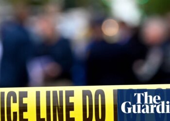At least seven people killed in Chicago shootings as Trump renews military call | Chicago