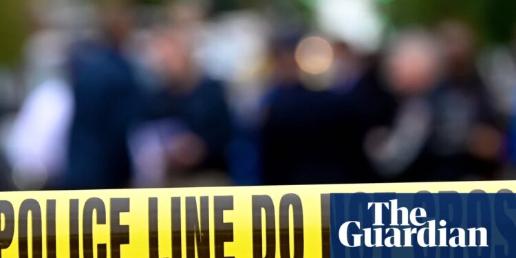 At least seven people killed in Chicago shootings as Trump renews military call | Chicago
