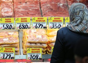 Turkey: government intervenes in the poultry market
