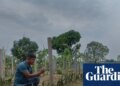 ‘I fear people will go to war over water’: as wells run dry, farmers struggle to survive in Bangladesh | Global development