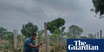 ‘I fear people will go to war over water’: as wells run dry, farmers struggle to survive in Bangladesh | Global development