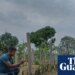 ‘I fear people will go to war over water’: as wells run dry, farmers struggle to survive in Bangladesh | Global development