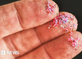 New microplastics research examines River Thames pollution