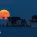 In pictures: Glowing Strawberry Moon snapped over the South