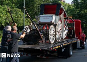 Teenager dies in horse-drawn carriage accident in New York