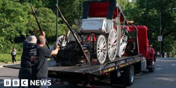 Teenager dies in horse-drawn carriage accident in New York