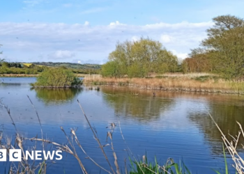 Surrey councils issue alert over open water ahead of warm weather