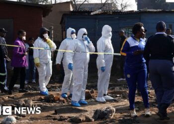 Manhunt under way in South Africa after 12 killed in mass shooting in Johannesburg