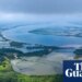How the world’s voracious appetite for shrimp is destroying Ecuador’s mangroves | Ecuador