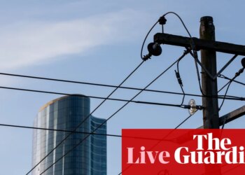 Australia politics live: Energy minister asks regulator to investigate big jump in power companies’ supply fees | Australia news
