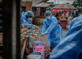 Ebola cases top 1,300 — RT Africa