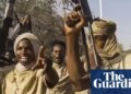 UK prioritised ties with UAE over averting mass atrocities in Sudan, MPs to be told | Global development