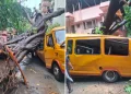 Student Dies, 10 Injured After Tree Falls On School Bus In Mumbai’s Chembur