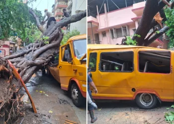 Student Dies, 10 Injured After Tree Falls On School Bus In Mumbai’s Chembur