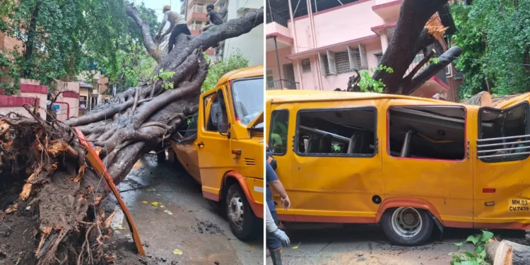 Student Dies, 10 Injured After Tree Falls On School Bus In Mumbai’s Chembur