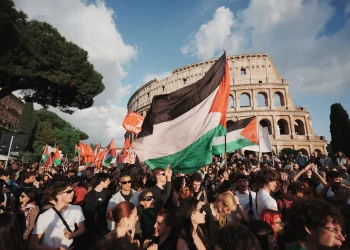 Four Gaza aid flotilla activists released from Libya detention | News