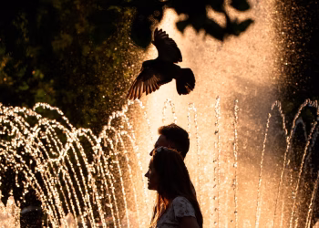 France records around 1,000 additional deaths amid extreme heat wave leading to European records