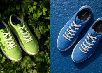 Allbirds Rebrands as Smartbird, Completes IP Sale to American Exchange