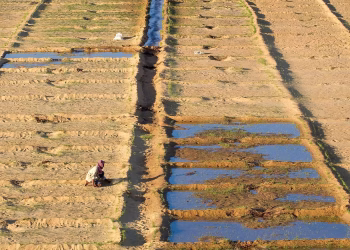 Why the Al Murunah integrated development approach is scalable