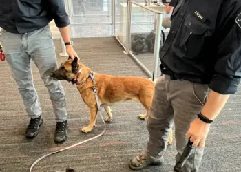 Burnaby Urban Search and Rescue team deploys to Venezuela after deadly earthquakes – BC