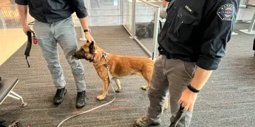 Burnaby Urban Search and Rescue team deploys to Venezuela after deadly earthquakes – BC