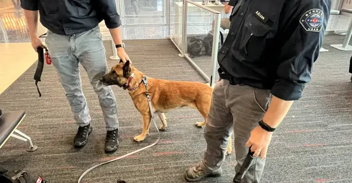 Burnaby Urban Search and Rescue team deploys to Venezuela after deadly earthquakes – BC