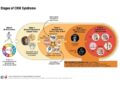 First-ever clinical guideline issued for cardiovascular-kidney-metabolic (CKM) syndrome