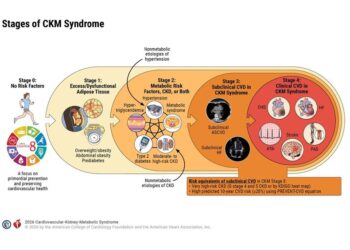 First-ever clinical guideline issued for cardiovascular-kidney-metabolic (CKM) syndrome