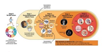 First-ever clinical guideline issued for cardiovascular-kidney-metabolic (CKM) syndrome