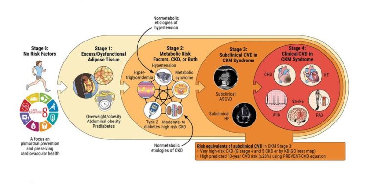 First-ever clinical guideline issued for cardiovascular-kidney-metabolic (CKM) syndrome