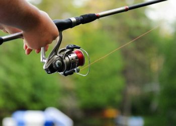 Security Leaders Discuss Texas Hunting, Fishing License Data Breach