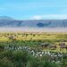 Field Notes From The Wild: Laura’s Authentic Tanzania Safari