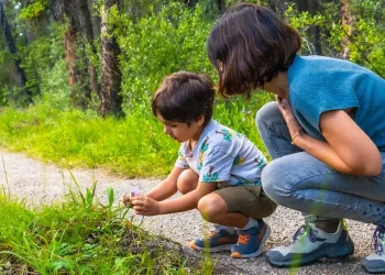 Poisonous and Nonpoisonous Plants: What Every Family Should Know