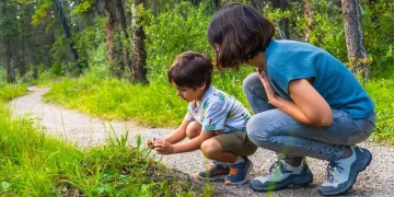 Poisonous and Nonpoisonous Plants: What Every Family Should Know