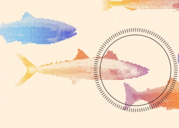 This startup built a fish-killing robot and chefs love the results