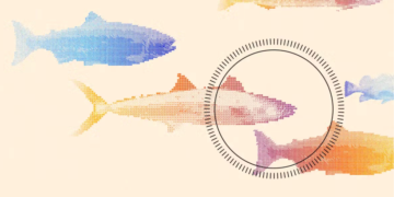 This startup built a fish-killing robot and chefs love the results