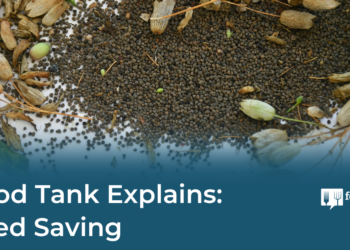 Food Tank Explains: Seed Saving – Food Tank