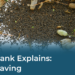 Food Tank Explains: Seed Saving – Food Tank