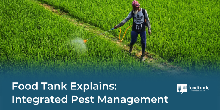 Food Tank Explains: Integrated Pest Management – Food Tank
