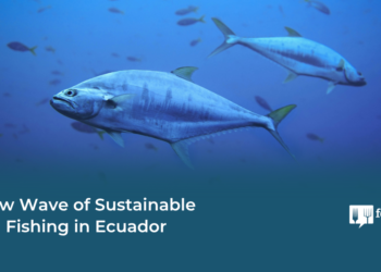 A New Wave of Sustainable Tuna Fishing in Ecuador – Food Tank