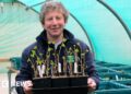 Revival project for endangered native trees