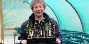 Revival project for endangered native trees