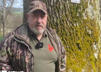 Remote volunteers use CCTV to save red squirrels